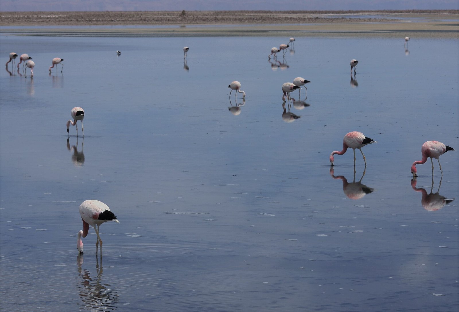 Basilique de Fourvière iluminada, San Pedro de Atacama